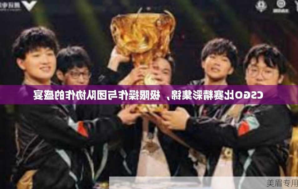 CSGO比赛精彩集锦，极限操作与团队协作的盛宴