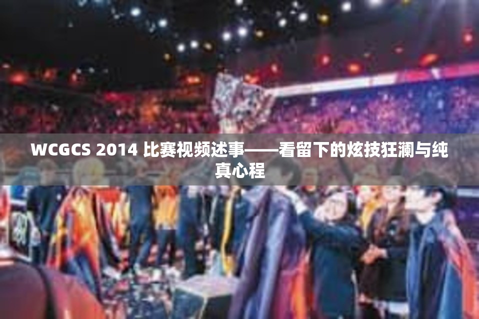 WCGCS 2014 比赛视频述事——看留下的炫技狂澜与纯真心程