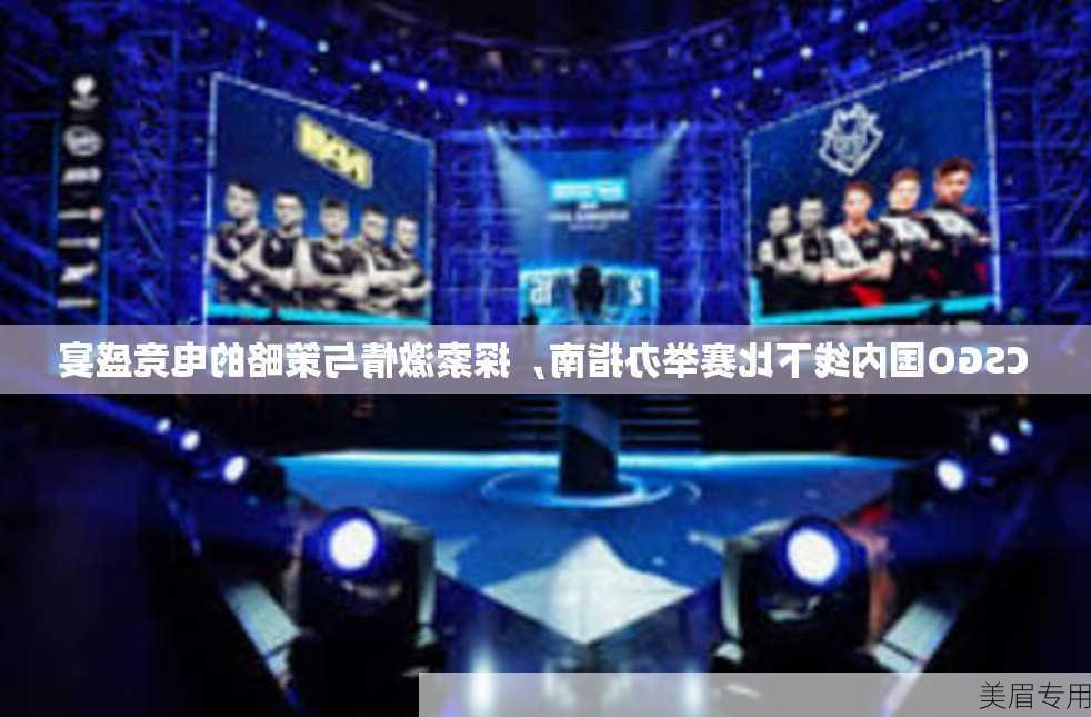 CSGO国内线下比赛举办指南，探索激情与策略的电竞盛宴